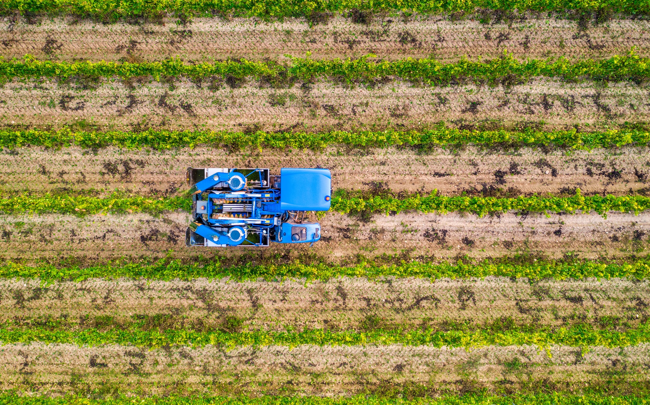 Applications open to join California’s ‘Olympic village of agtech’