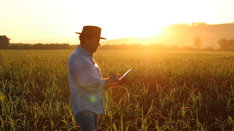 Where does connectivity stand for Brazilian farmers?