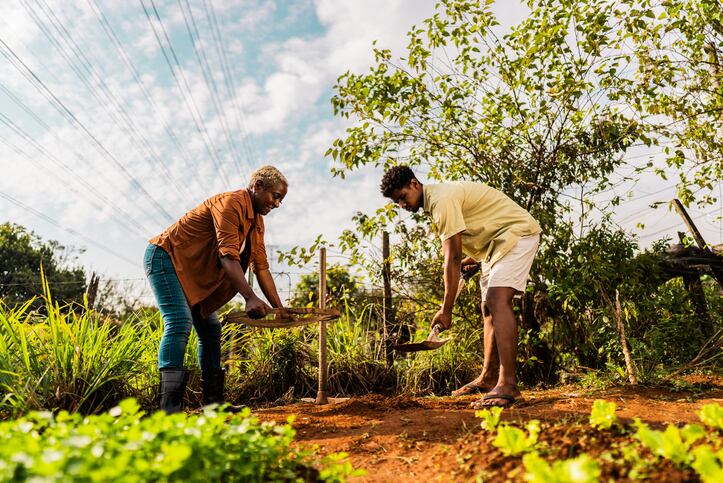 How ‘citizen science’ hopes to find the crops of the future