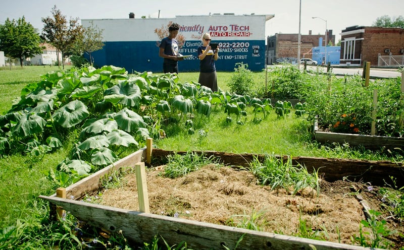 Food from urban agriculture has carbon footprint 6 times larger than conventional produce, study shows
