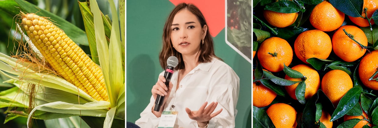 Spotlight on Mexico: Can investment and market diversification enhance food security?