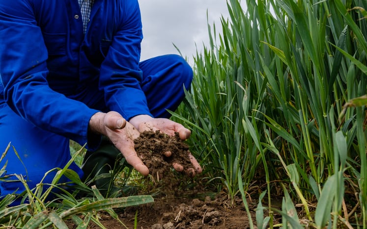 Yara’s agtech arm Varda joins European soil health study