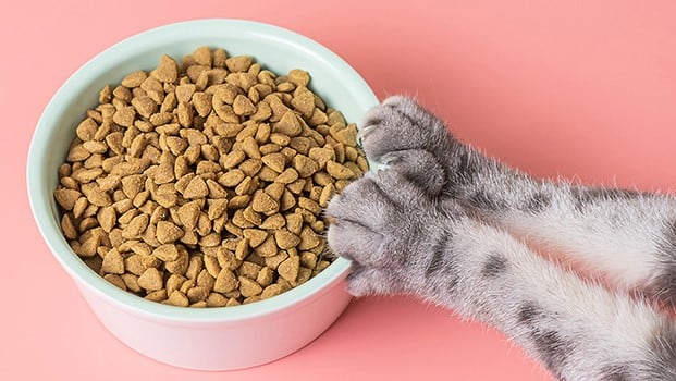 Product lifecycle management – where does Regulatory Affairs fit in?