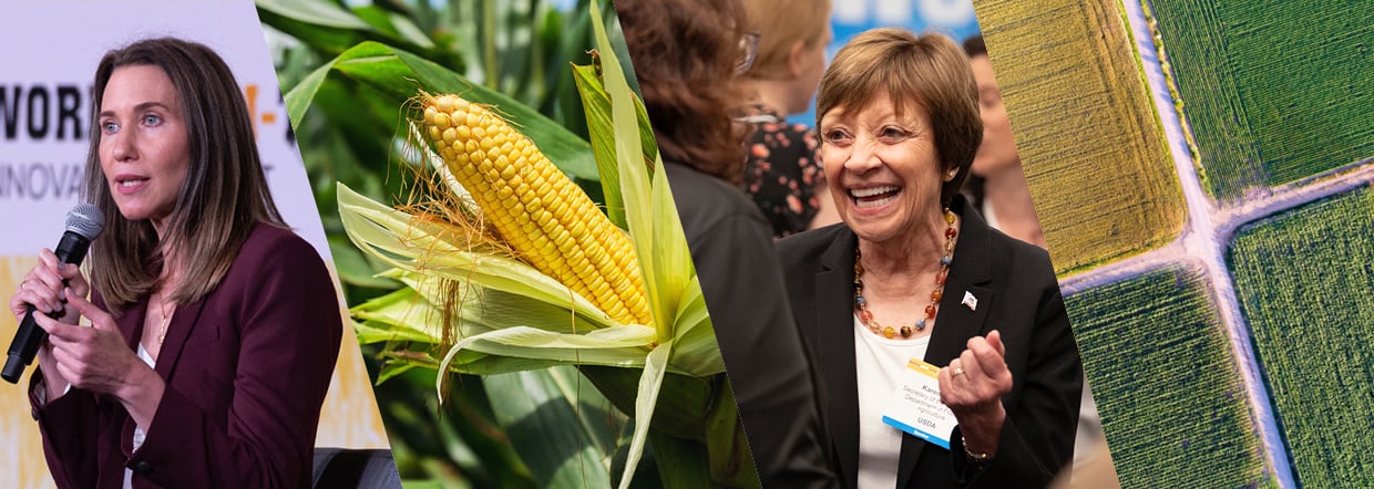 Harnessing AI in agriculture: What does this mean for the industry?