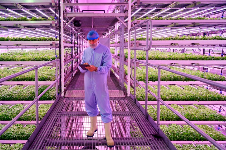 US vertical farmers unveil their most technologically advanced facilities yet
