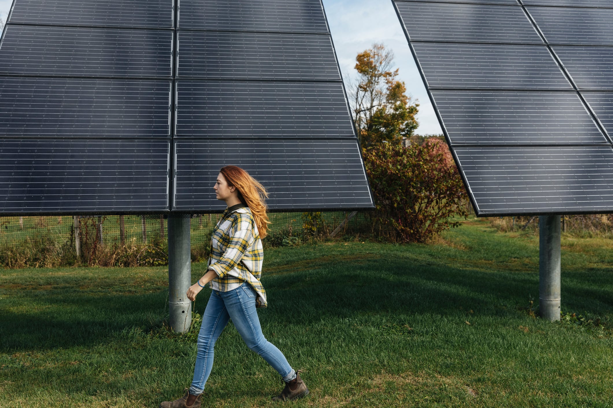 Funds from the European Investment Bank, Rabobank and DLL aim to make investments more attractive and accessible for agtech companies facing high upfront costs or market risks.