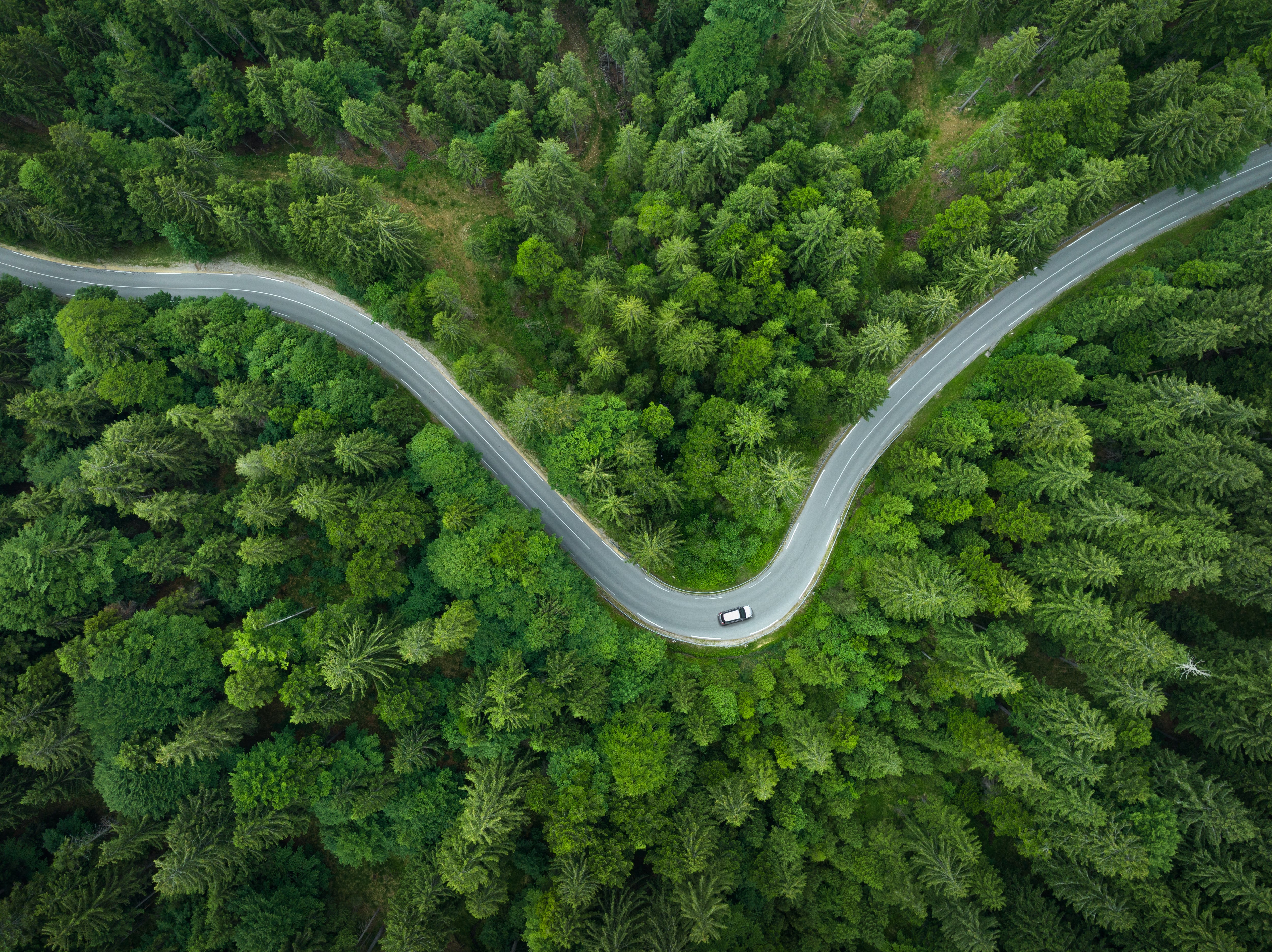 Google to buy carbon removal credits to ‘catalyze’ biochar production