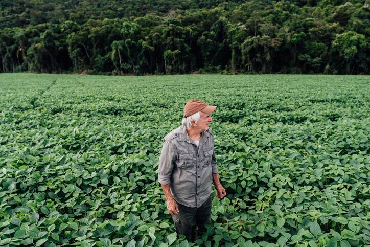 Regen ag: ‘If 70% of farmers did it, we would end the climate crisis’