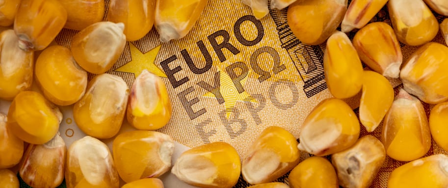 What could hot temperatures mean for European corn crops?