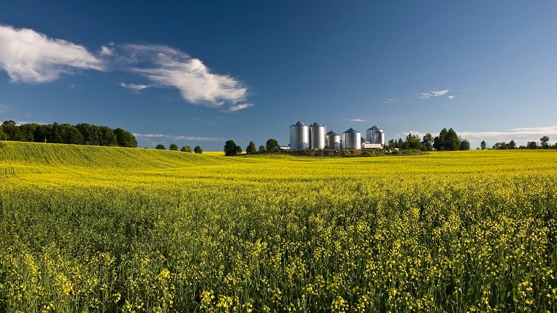 2026 Canola season: Nutrien Ag releases 4 seed hybrids for Western Canadian farmers