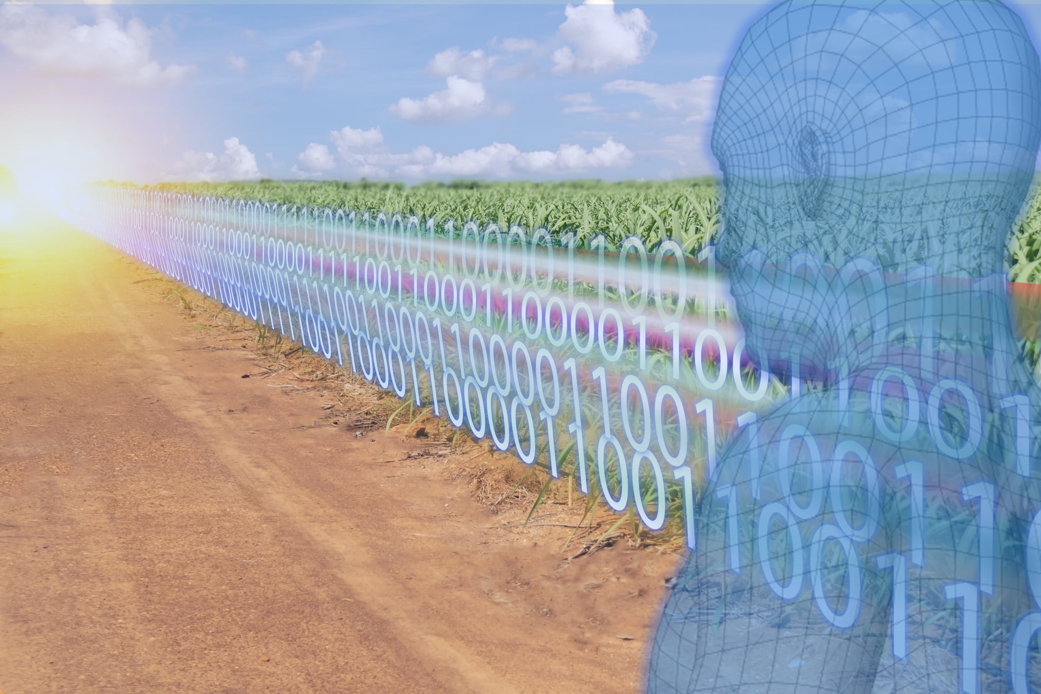 Bridging the digital divide: Dimitra’s bid to empower farmers with blockchain and smart tech