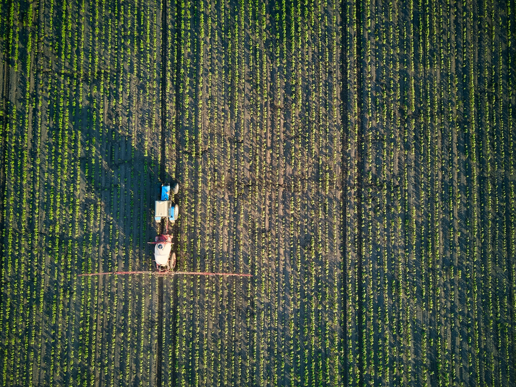 Spain start-up gets €35M to develop RNA-based biopesticides