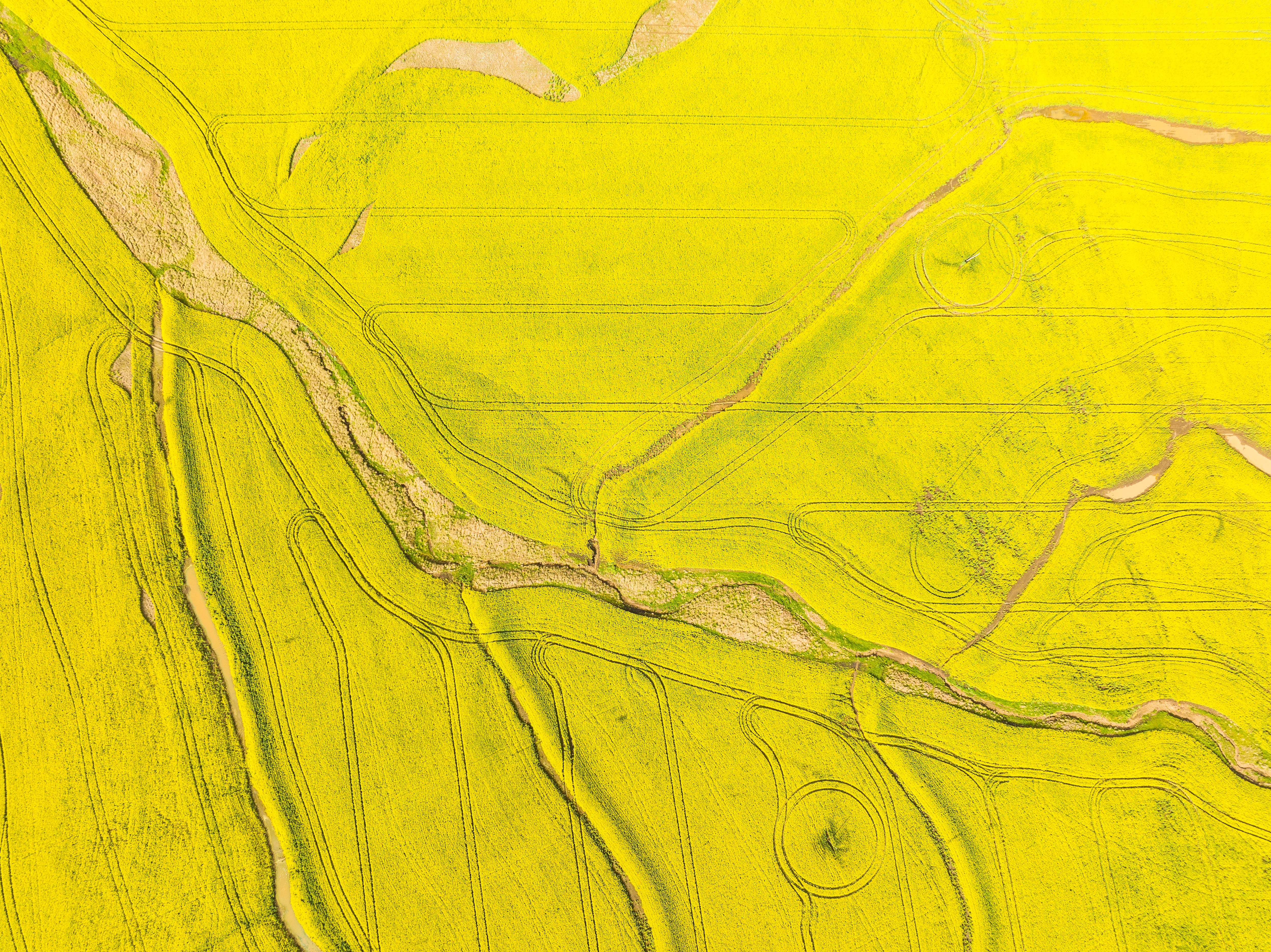 Is sustainable fuel on political life support? 