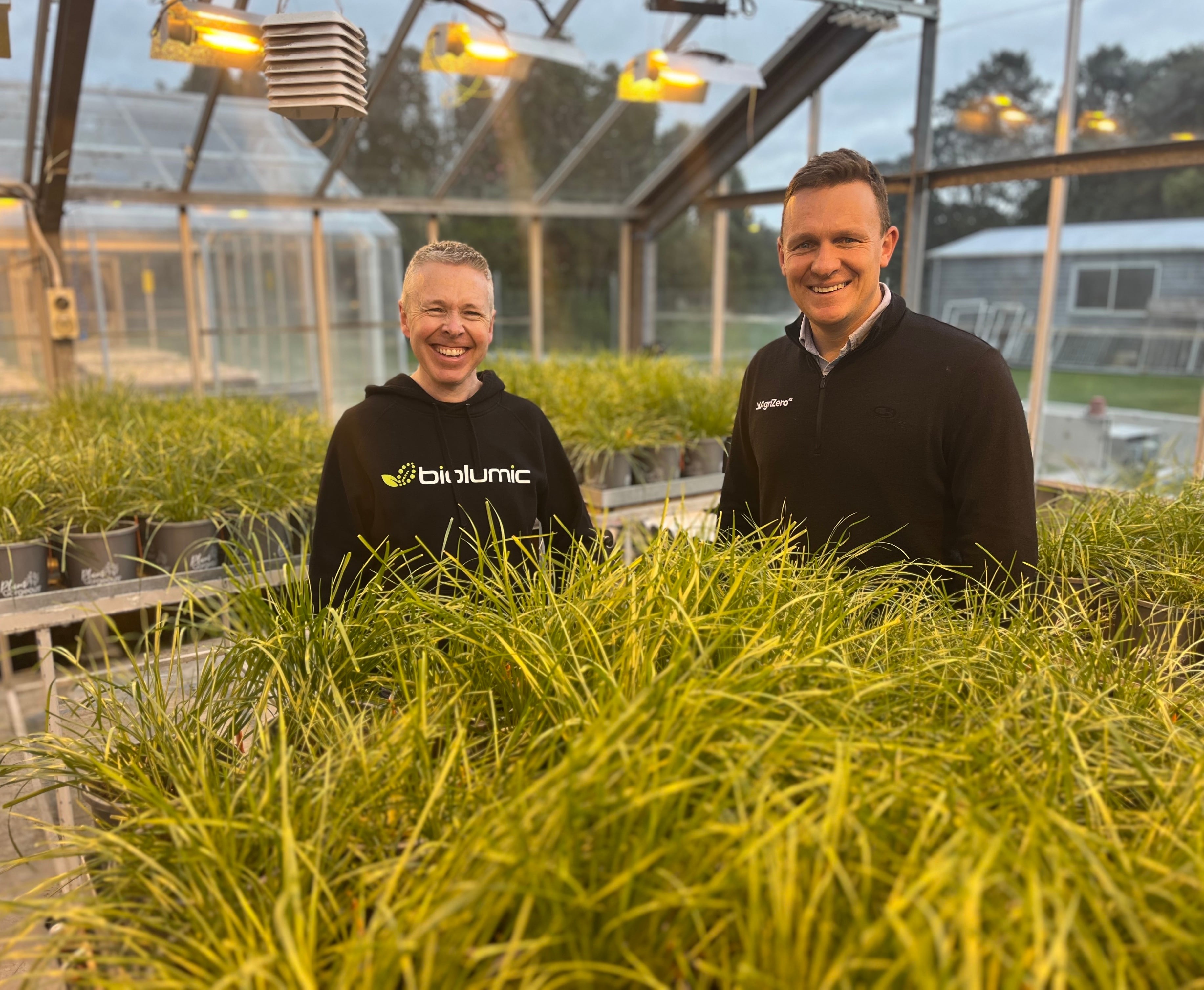 Shining a light on sustainability: UV-treated grass seeds may curb methane in livestock