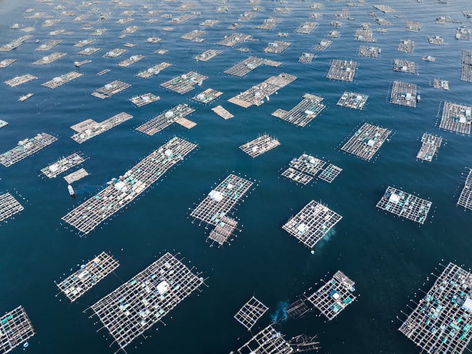 BioMar: Novel ingredients can drive fish health and aquaculture sustainability