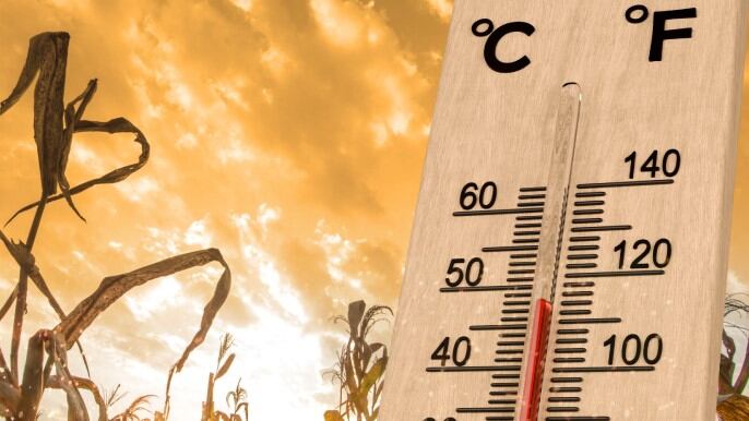 WATCH: How is parametric insurance helping to mitigate risks?