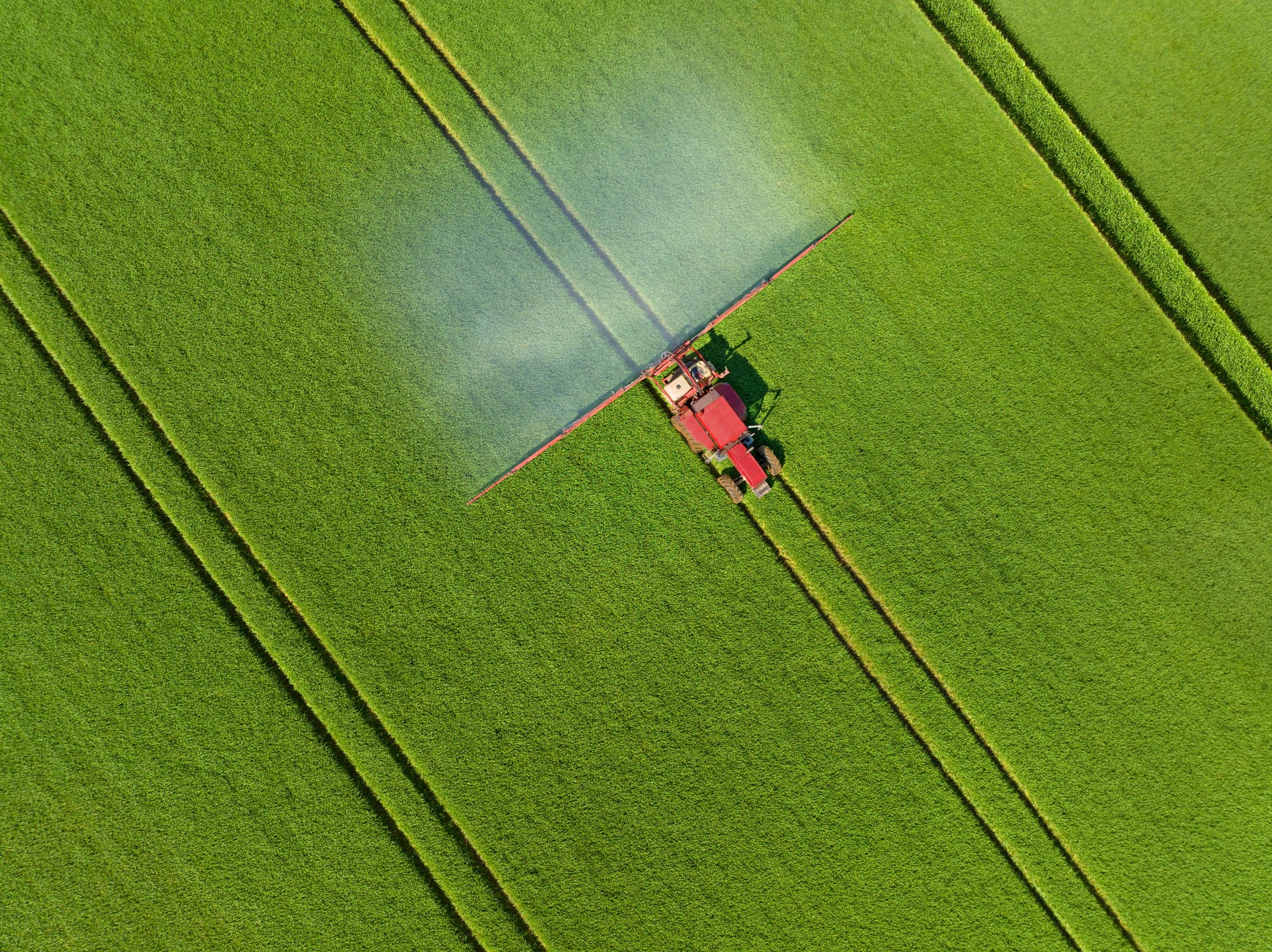 Adama puts the case for chemical inputs after ‘breakthrough’ in fungicide innovation