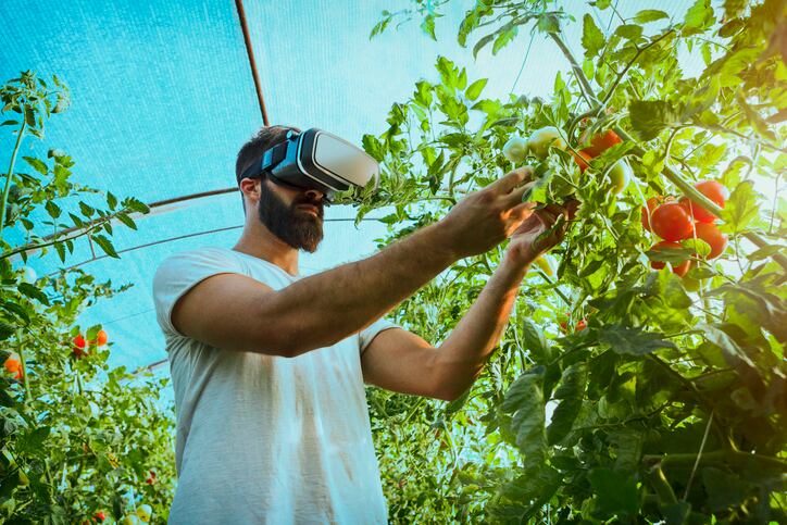 Augmented reality in agriculture: how significant will it prove?