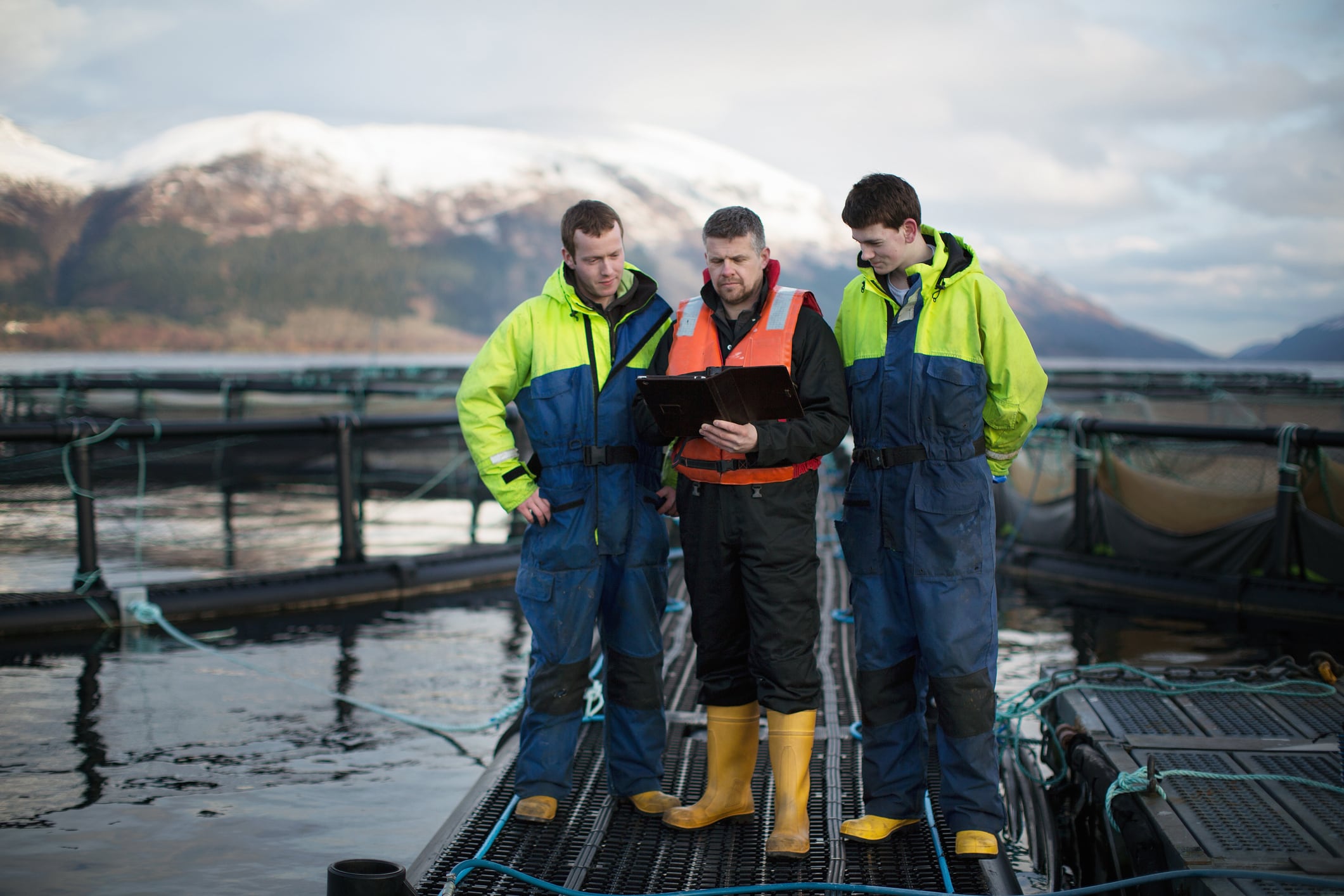 BioMar’s insights may advance waterborne feeding systems