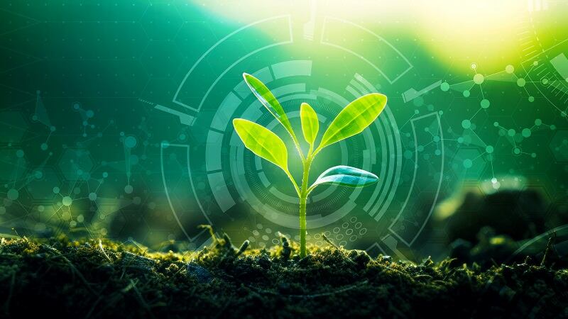 Brazilian biologicals start-up Symbiomics closes Series A round with Corteva’s help