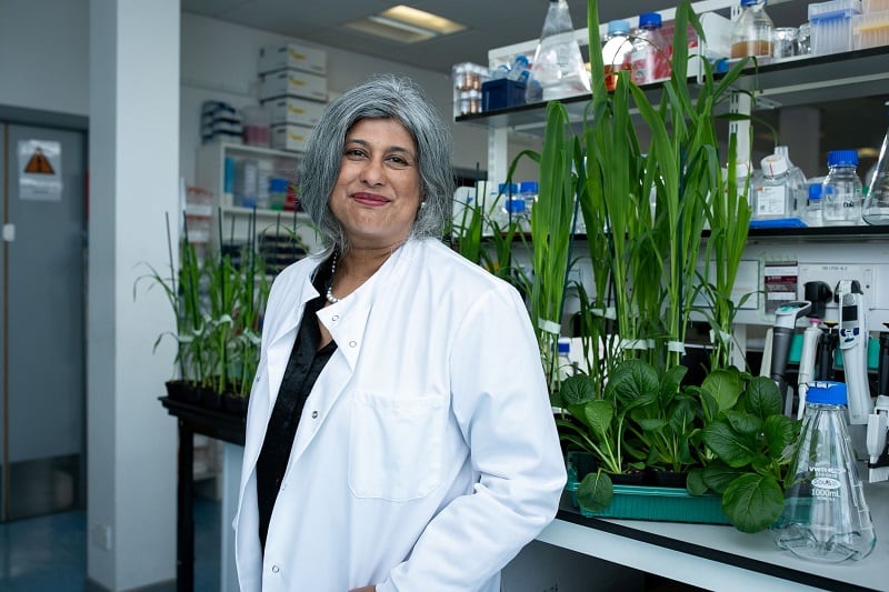 Green insecticide start-up raises $14m