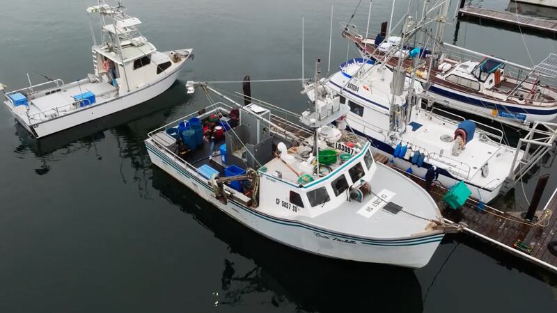 Seafood automation start-up Shinkei Systems hooks $22m in Series A funding