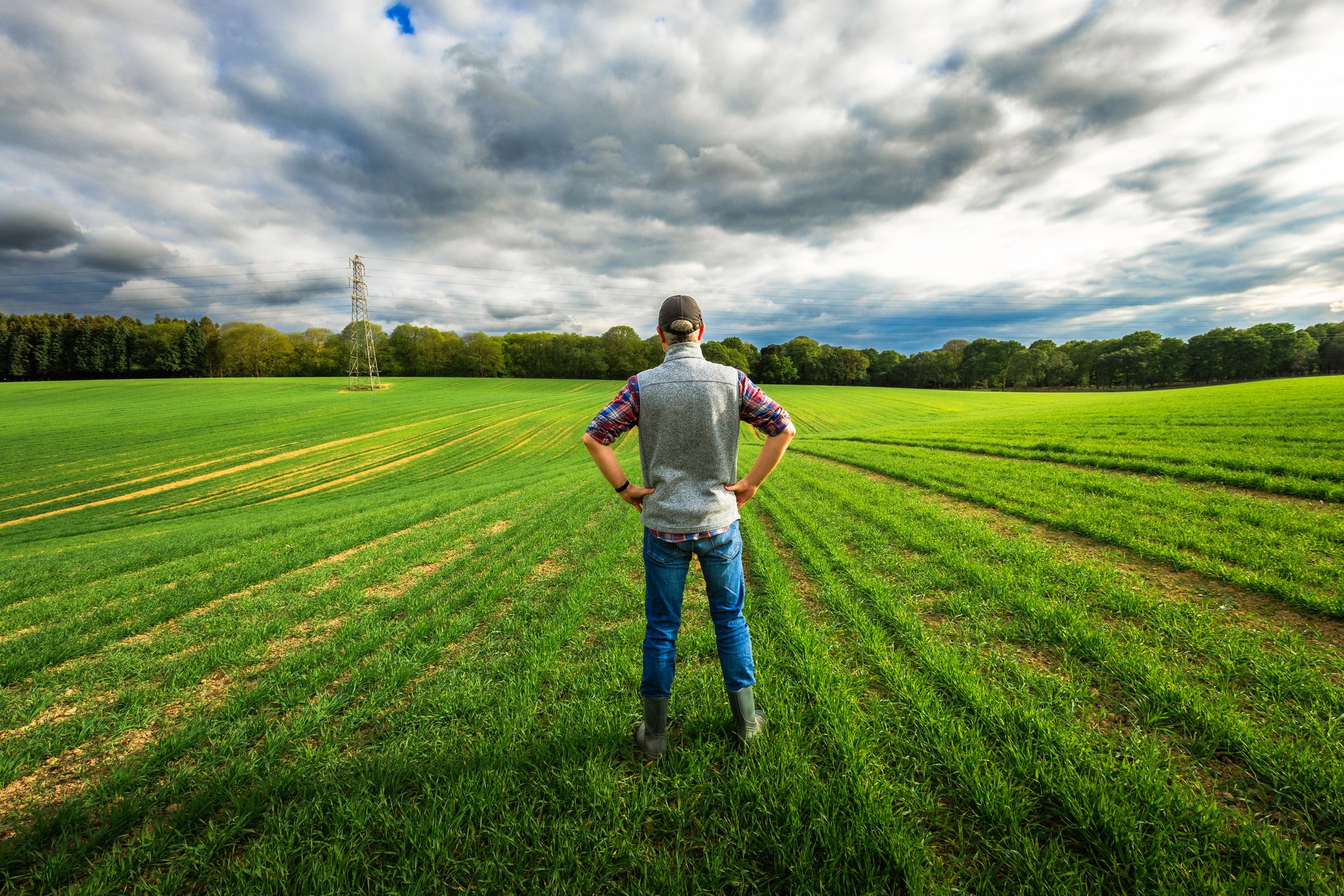 Ringfenced EU funding for farming is being cut by more than a fifth under new proposals