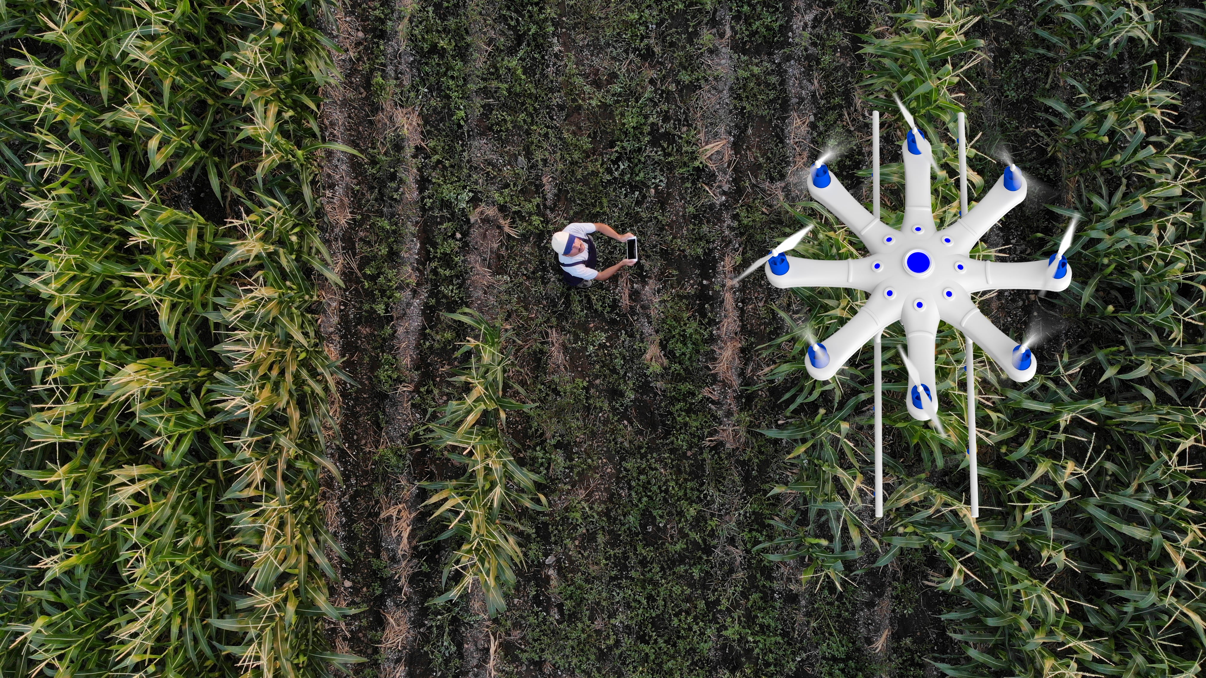Up in the air: How would US restrictions on Chinese drones impact the crop-spraying market?