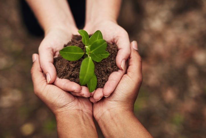 First plant sustainability index launched to cut environmental impact of growing crops