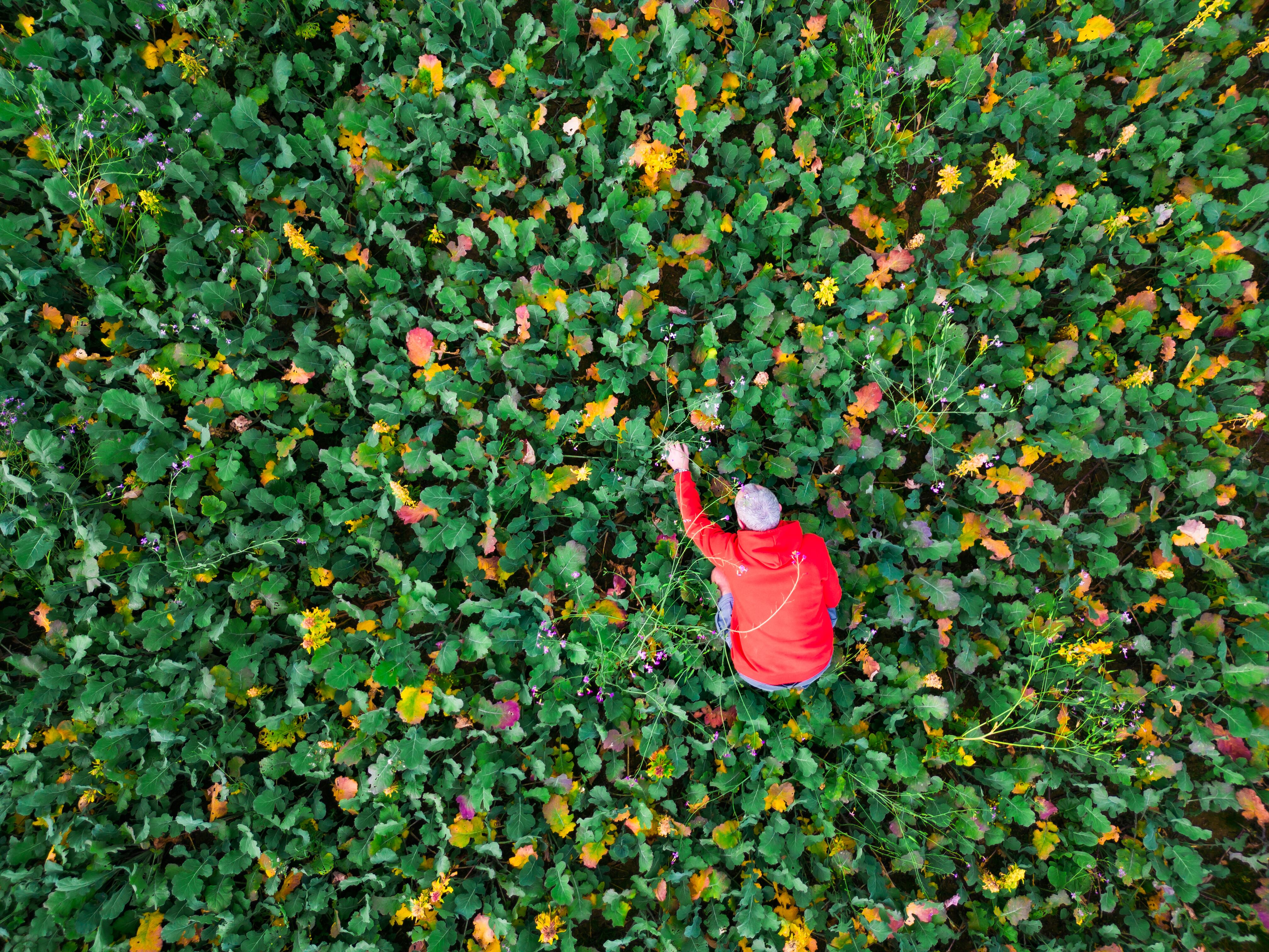 Bank unveils blended finance for UK farmers to make sustainable changes