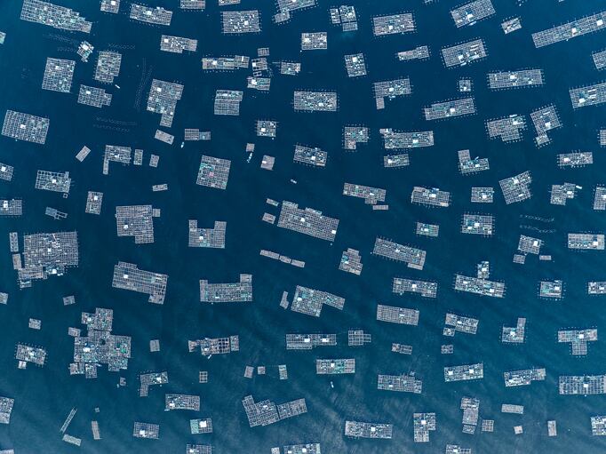 New project will tackle antimicrobial resistance in aquaculture