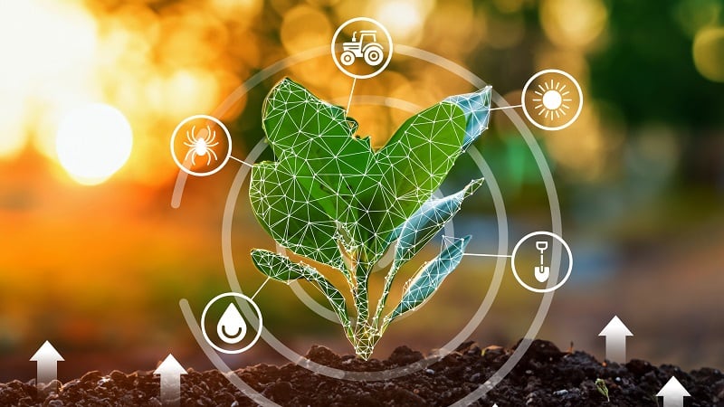 AI for crop optimization: BASF, Solinftec discuss tech at World Agri-Tech South America Summit