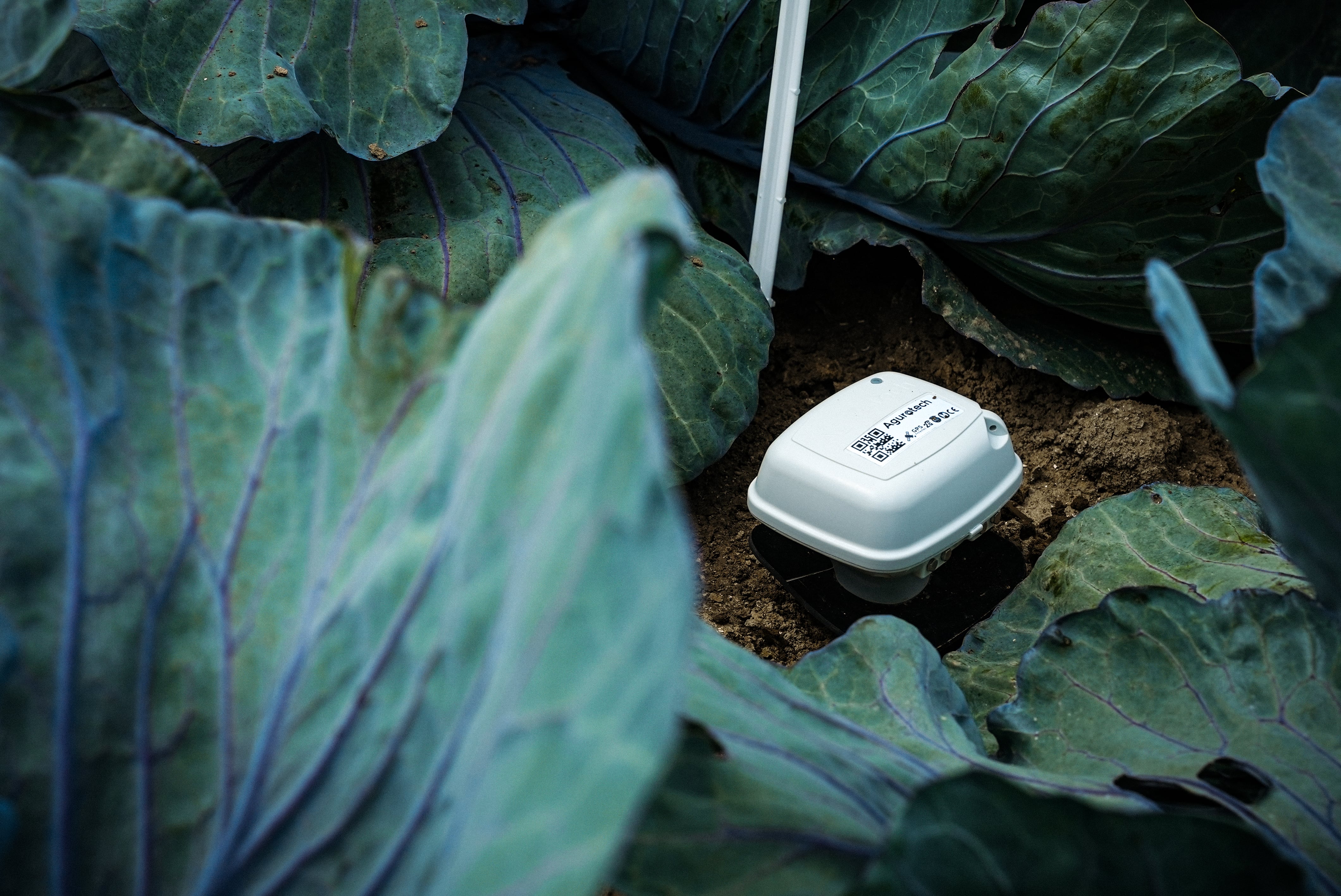 Agurotech gets new investment to advance its precision ag solutions