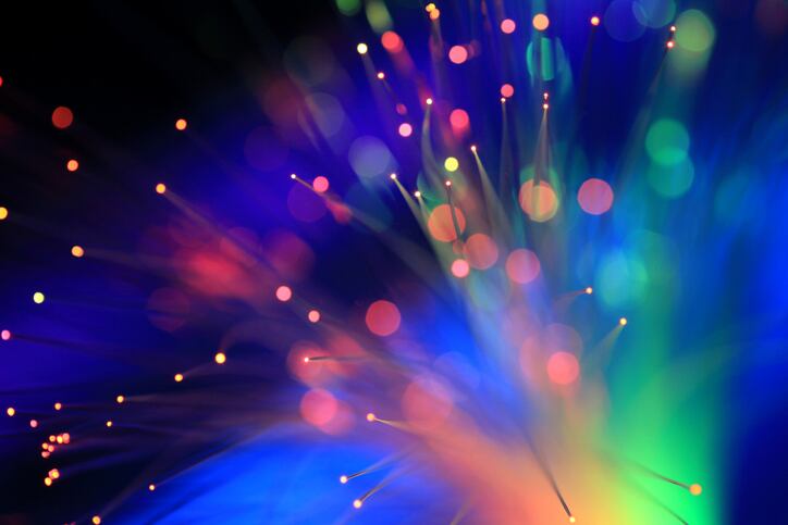 UV light signalling: the next frontier in plant science?