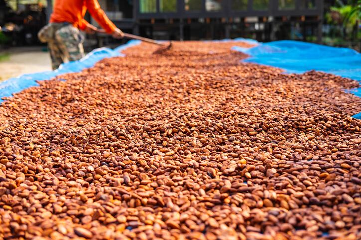 Dry chain technology offers scalable solution for seed storage in tropical climates: Global study